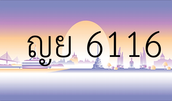 ญย 6116